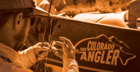 The Colorado Angler Fishing Report – May 8, 2015
